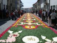 Click para ver a foto maior